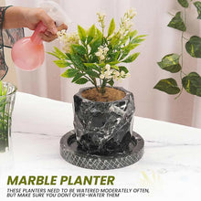 Load image into Gallery viewer, Planter Pineapple Design - 15cm
