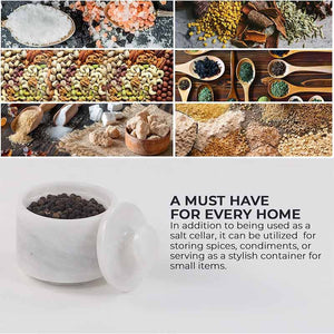 salt cellar _  container